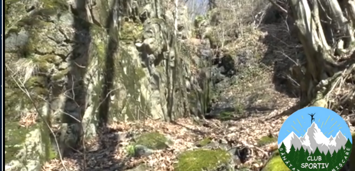 SĂNĂTATE PRIN MIȘCARE: Drumeție la Cheile Dănești, valea Izvorul Bulzului SĂNĂTATE PRIN MIȘCARE: Drumeție la Cheile Dănești, valea Izvorul Bulzului
