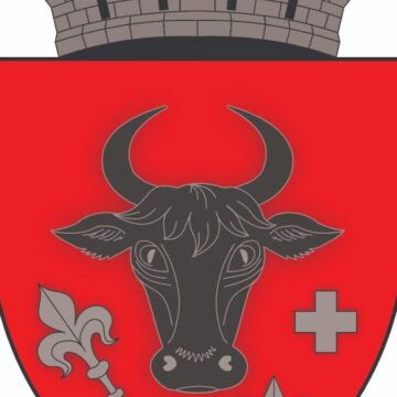 SIGHET: S-a aprobat stema municipiului SIGHET: S-a aprobat stema municipiului