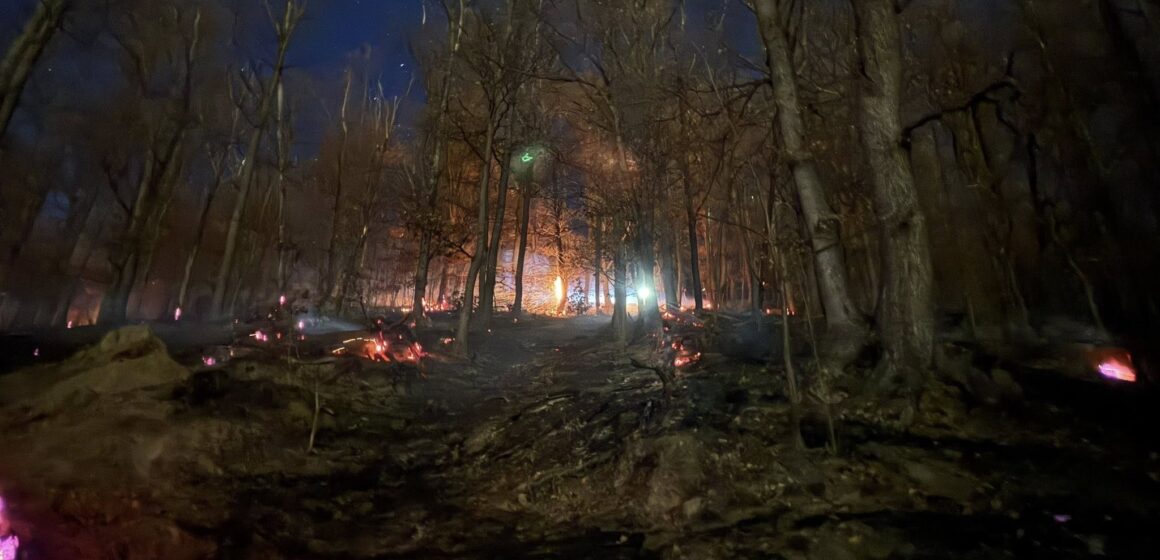 INCENDIUL de sub vârful Iricău și Culmea Morgăului din Baia Mare a fost stabilizat INCENDIUL de sub vârful Iricău și Culmea Morgăului din Baia Mare a fost stabilizat