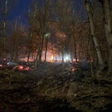 INCENDIUL de sub vârful Iricău și Culmea Morgăului din Baia Mare a fost stabilizat INCENDIUL de sub vârful Iricău și Culmea Morgăului din Baia Mare a fost stabilizat