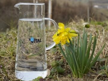 VITAL: Ziua Mondială a Apei – Eveniment organizat la Stația de Tratare a apei Obreja, din Târgu Lăpuș VITAL: Ziua Mondială a Apei – Eveniment organizat la Stația de Tratare a apei Obreja, din Târgu Lăpuș