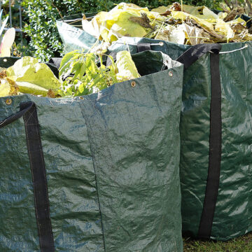 SIGHETU MARMAȚIEI: Colectarea deșeurilor vegetale se efectuează până în 31 martie