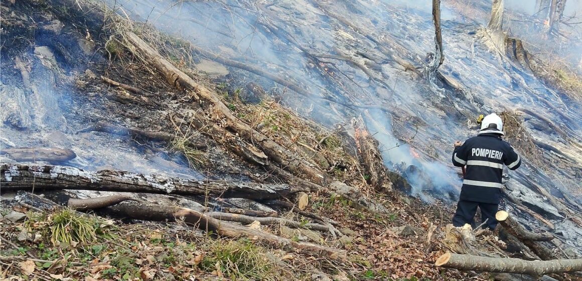 ISU: 30 de hectare afectate de incendiul de vegetație din Ieud ISU: 30 de hectare afectate de incendiul de vegetație din Ieud