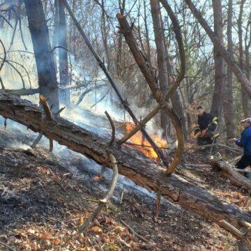 ISU: 14 incendii de vegetație uscată și fond forestier într-o singură zi în Maramureș