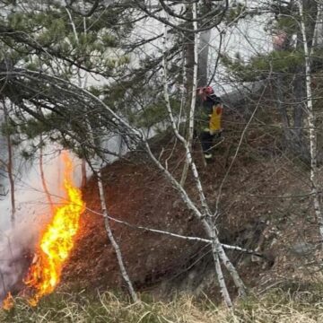 BAIA SPRIE: Incendiu de fond forestier pe Dealul Minei