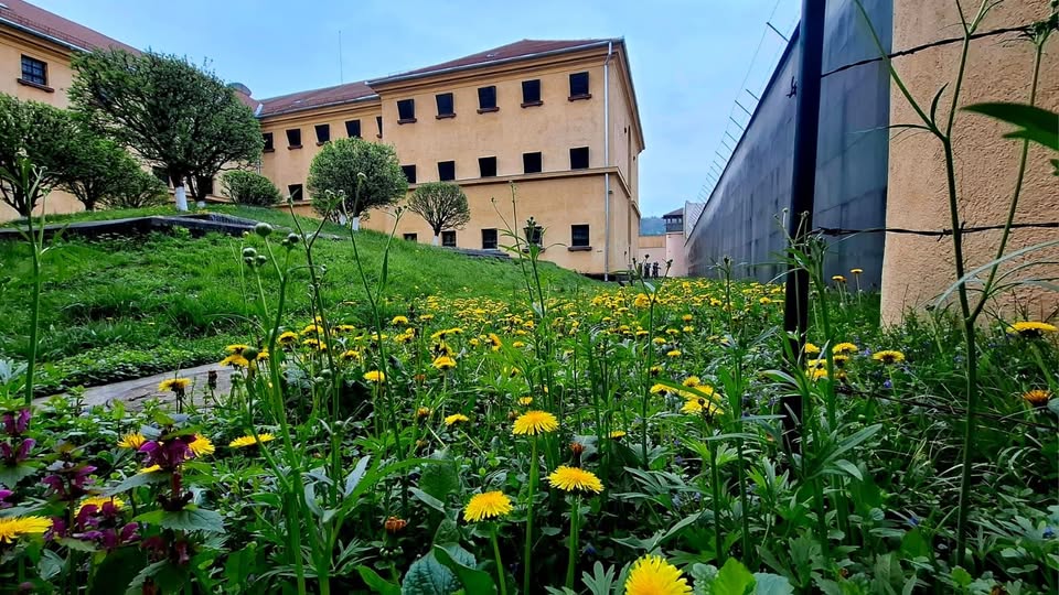MEMORIALUL VICTIMELOR COMUNISMULUI ȘI AL REZISTENȚEI: Program de vizitare în perioada sărbătorilor pascale MEMORIALUL VICTIMELOR COMUNISMULUI ȘI AL REZISTENȚEI: Program de vizitare în perioada sărbătorilor pascale