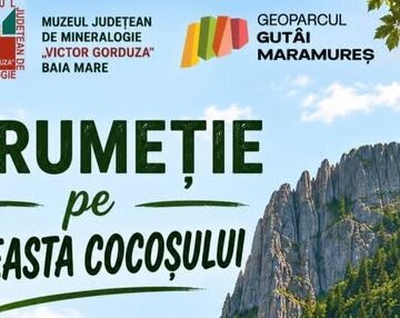 INVITAȚIE LA DRUMEȚIE pe Creasta Cocoșului
