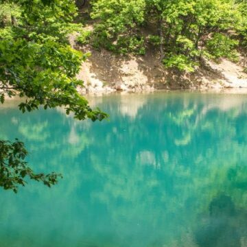 SPECIAL: „De la Marea Tethys la Lacul Albastru”, un nou eveniment în cadrul proiectului Școala Naturii în Geoparcul Gutâi-Maramureș SPECIAL: „De la Marea Tethys la Lacul Albastru”, un nou eveniment în cadrul proiectului Școala Naturii în Geoparcul Gutâi-Maramureș