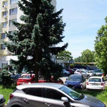BAIA MARE: Restricții de circulație și parcare în zona Pieței Universității (Buclă) BAIA MARE: Restricții de circulație și parcare în zona Pieței Universității (Buclă)