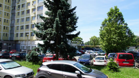 BAIA MARE: Restricții de circulație și parcare în zona Pieței Universității (Buclă)
