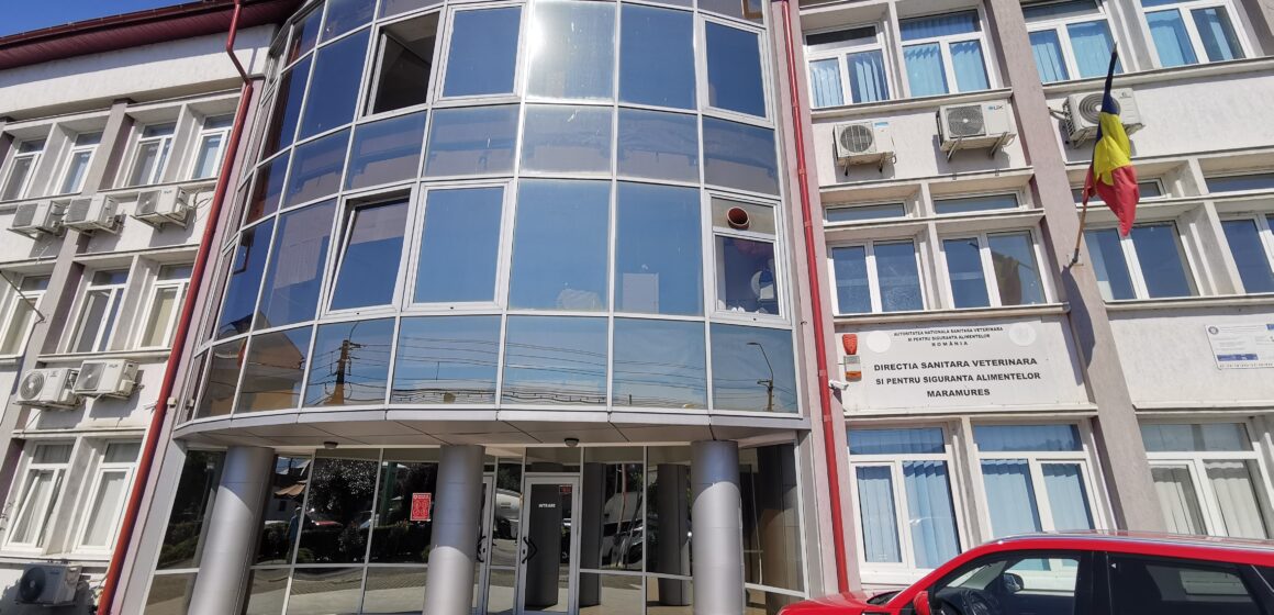 VIDEO: D.S.V.S.A. Maramureș a intrat în grevă japoneză