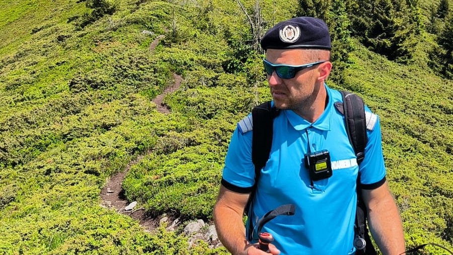 JANDARMII MONTANI: În această după-amiază, în zona înaltă a traseelor montane spre Creasta Cocoșului a fost semnalată prezența unei vipere JANDARMII MONTANI: În această după-amiază, în zona înaltă a traseelor montane spre Creasta Cocoșului a fost semnalată prezența unei vipere