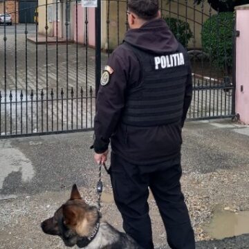 ȘOMCUTA MARE: Acțiune a polițiștilor în unități de învățământ și în apropierea acestora