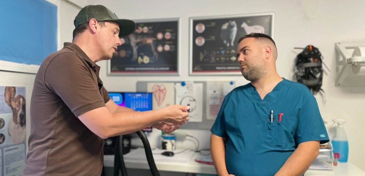 BAIA MARE: Campania de sterilizare subvenționată pentru câinii cu stăpân continuă BAIA MARE: Campania de sterilizare subvenționată pentru câinii cu stăpân continuă