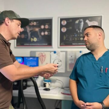 BAIA MARE: Campania de sterilizare subvenționată pentru câinii cu stăpân continuă BAIA MARE: Campania de sterilizare subvenționată pentru câinii cu stăpân continuă