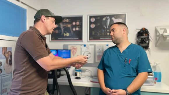 BAIA MARE: Campania de sterilizare subvenționată pentru câinii cu stăpân continuă BAIA MARE: Campania de sterilizare subvenționată pentru câinii cu stăpân continuă