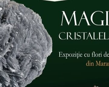 MUZEUL JUDEȚEAN DE MINERALOGIE: Expoziție de flori de mină din Maramureș la Tulcea MUZEUL JUDEȚEAN DE MINERALOGIE: Expoziție de flori de mină din Maramureș la Tulcea