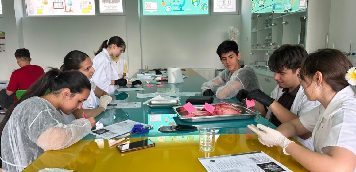 ȘCOALA DE VARĂ DE BIOLOGIE a Centrului Județean de Excelență Maramureș: învățare prin experiment, explorare și experiențe autentice