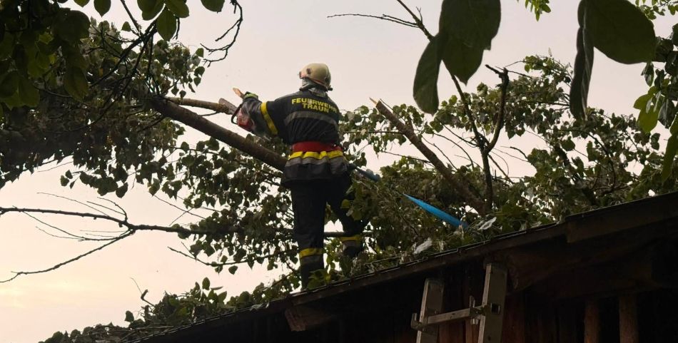 CJSU: Pagube produse în Maramureș de vremea rea CJSU: Pagube produse în Maramureș de vremea rea