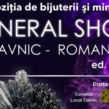 CAVNIC: Mineral Expo – Expoziția de bijuterii și minerale ”Mineral Show” CAVNIC: Mineral Expo – Expoziția de bijuterii și minerale ”Mineral Show”