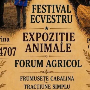 MIREȘU MARE: În acest sfârșit de săptămână sunteți așteptați la Festival Ecvestru, expoziție de animale și forum agricol MIREȘU MARE: În acest sfârșit de săptămână sunteți așteptați la Festival Ecvestru, expoziție de animale și forum agricol