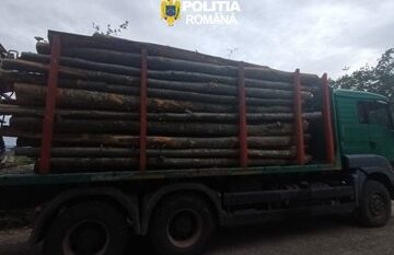 TRANSPORT ILEGAL DE MATERIAL LEMNOS – ansamblu auto indisponibilizat și peste 17 mc de material lemnos confiscați de polițiștii sigheteni TRANSPORT ILEGAL DE MATERIAL LEMNOS – ansamblu auto indisponibilizat și peste 17 mc de material lemnos confiscați de polițiștii sigheteni