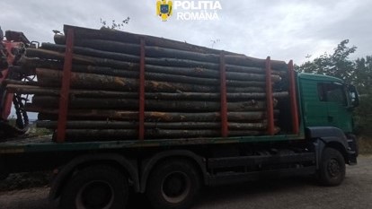 TRANSPORT ILEGAL DE MATERIAL LEMNOS – ansamblu auto indisponibilizat și peste 17 mc de material lemnos confiscați de polițiștii sigheteni