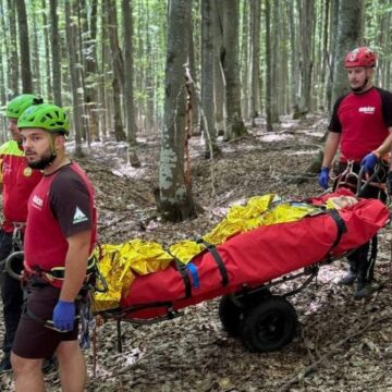 SALVAMONT: Acțiune de salvare în zona Săpânța SALVAMONT: Acțiune de salvare în zona Săpânța