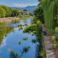 BAIA MARE:  Începe proiectul „Săsar & Firiza fără Plastic”