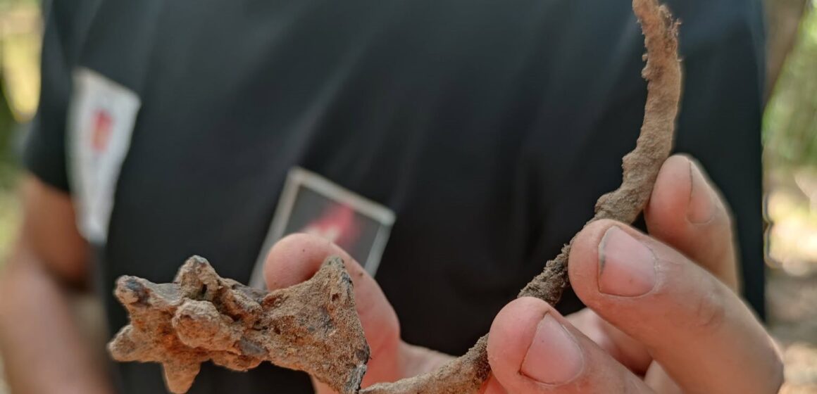MUZEUL JUDEȚEAN DE ISTORIE: Descoperiri arheologice la Ciceu-Corabia