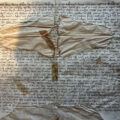 BAIA MARE: 679 de ani de la primul document privilegiat al orașului păstrat în forma originală