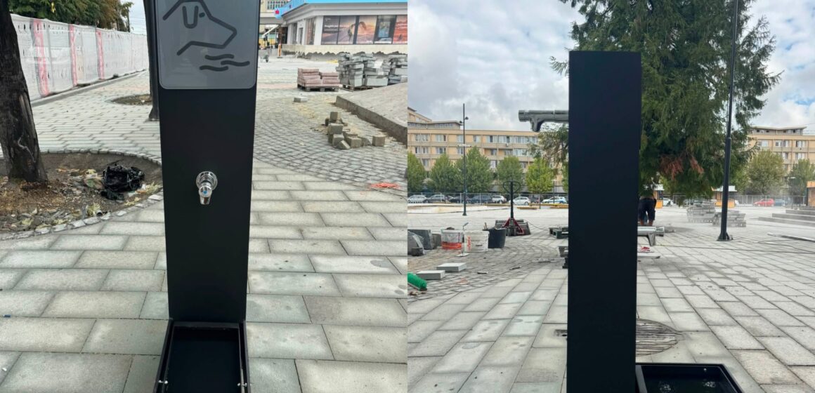 PAP ZSOLT ISTVÁN: Punct de hidratare destinat atât oamenilor, cât și animalelor