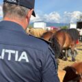 BAIA MARE: Acțiune pentru protecția animalelor, desfășurată la Festivalul Internațional Ecvestru