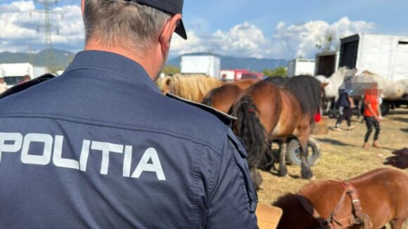BAIA MARE: Acțiune pentru protecția animalelor, desfășurată la Festivalul Internațional Ecvestru BAIA MARE: Acțiune pentru protecția animalelor, desfășurată la Festivalul Internațional Ecvestru