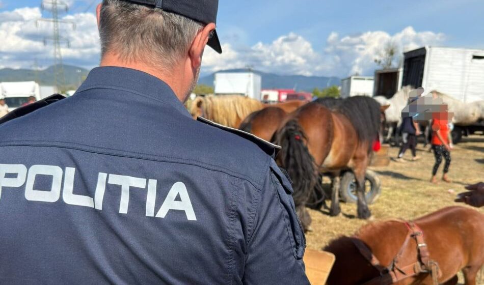 BAIA MARE: Acțiune pentru protecția animalelor, desfășurată la Festivalul Internațional Ecvestru BAIA MARE: Acțiune pentru protecția animalelor, desfășurată la Festivalul Internațional Ecvestru