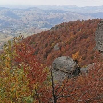 MUZEUL JUDEȚEAN DE MINERALOGIE: Drumeție în Munții Gutâi