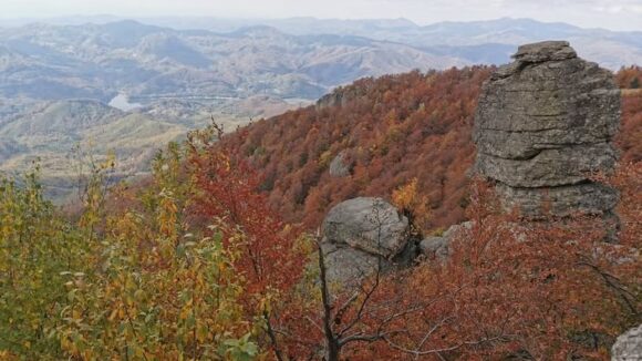 MUZEUL JUDEȚEAN DE MINERALOGIE: Drumeție în Munții Gutâi MUZEUL JUDEȚEAN DE MINERALOGIE: Drumeție în Munții Gutâi