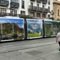 ECO MARAMUREȘ: Creasta Cocoșului, printre cele 8 imagini alese să promoveze România la Sevilla