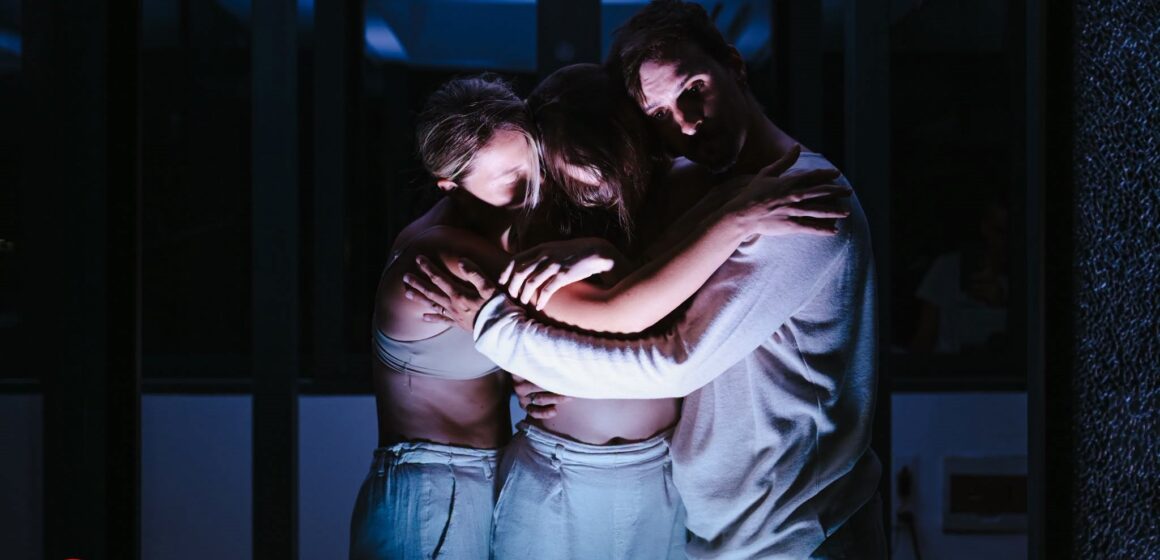 TEATRUL MUNICIPAL BAIA MARE: Duminică spectacolul ”INBOX” pe malul Săsarului
