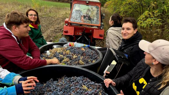 ZAHORÁNSZKI BRIGITTA: Recoltă bogată, cizme mari – așa se salută oamenii din Arduzel în timpul culesului de struguri ZAHORÁNSZKI BRIGITTA: Recoltă bogată, cizme mari – așa se salută oamenii din Arduzel în timpul culesului de struguri